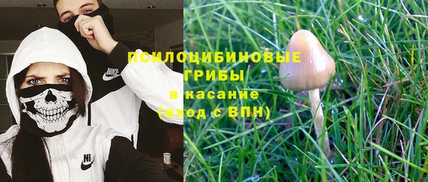 винт Алексин