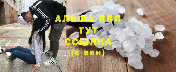 винт Алексин