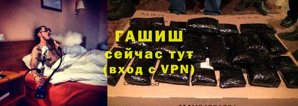 гашик Алексеевка